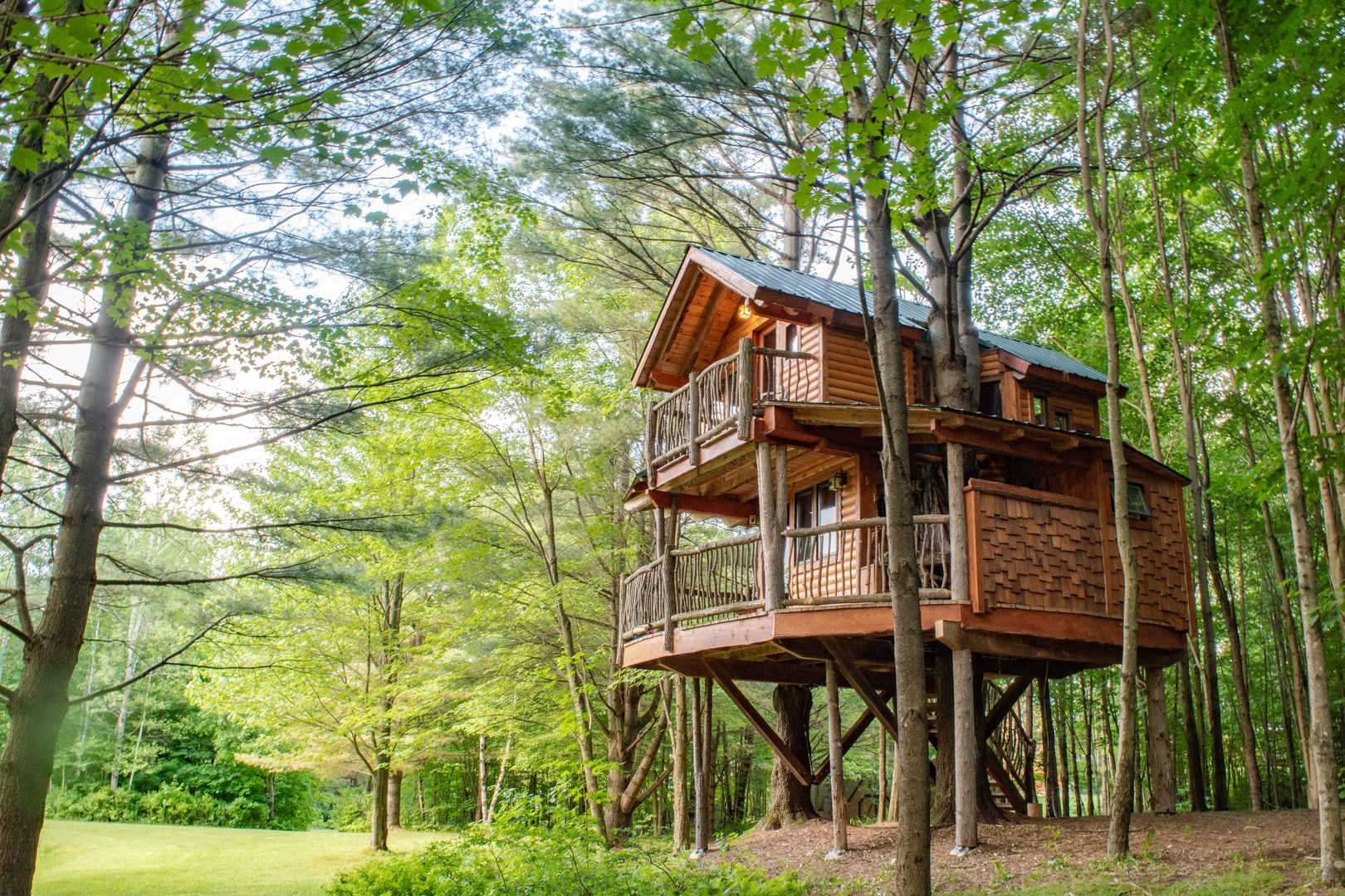 The treehouse is nestled in the woods.