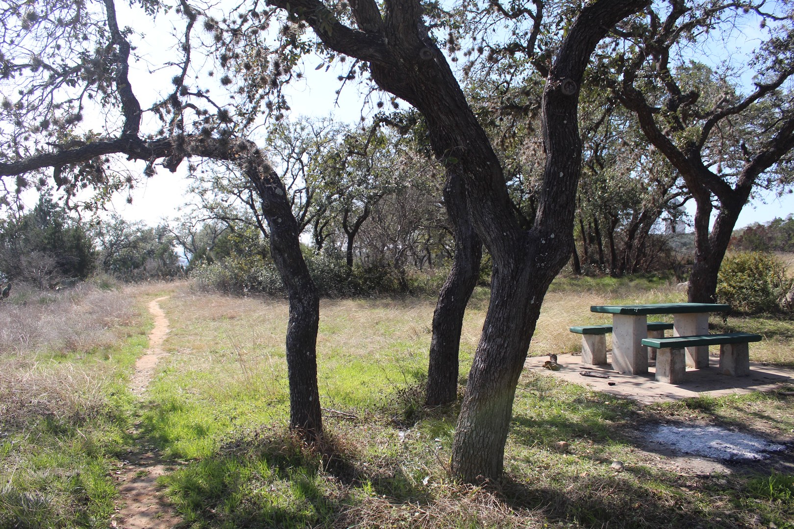 A picnic table at Pace Bend Park.