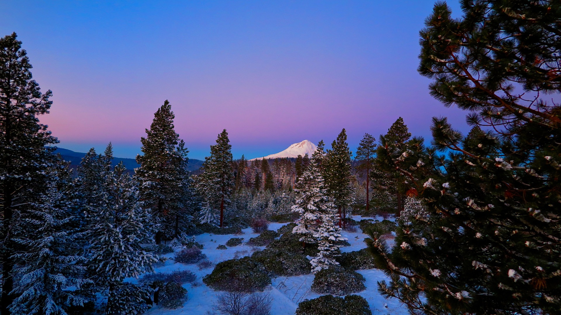 The western view toward Mount Hood at sunset.