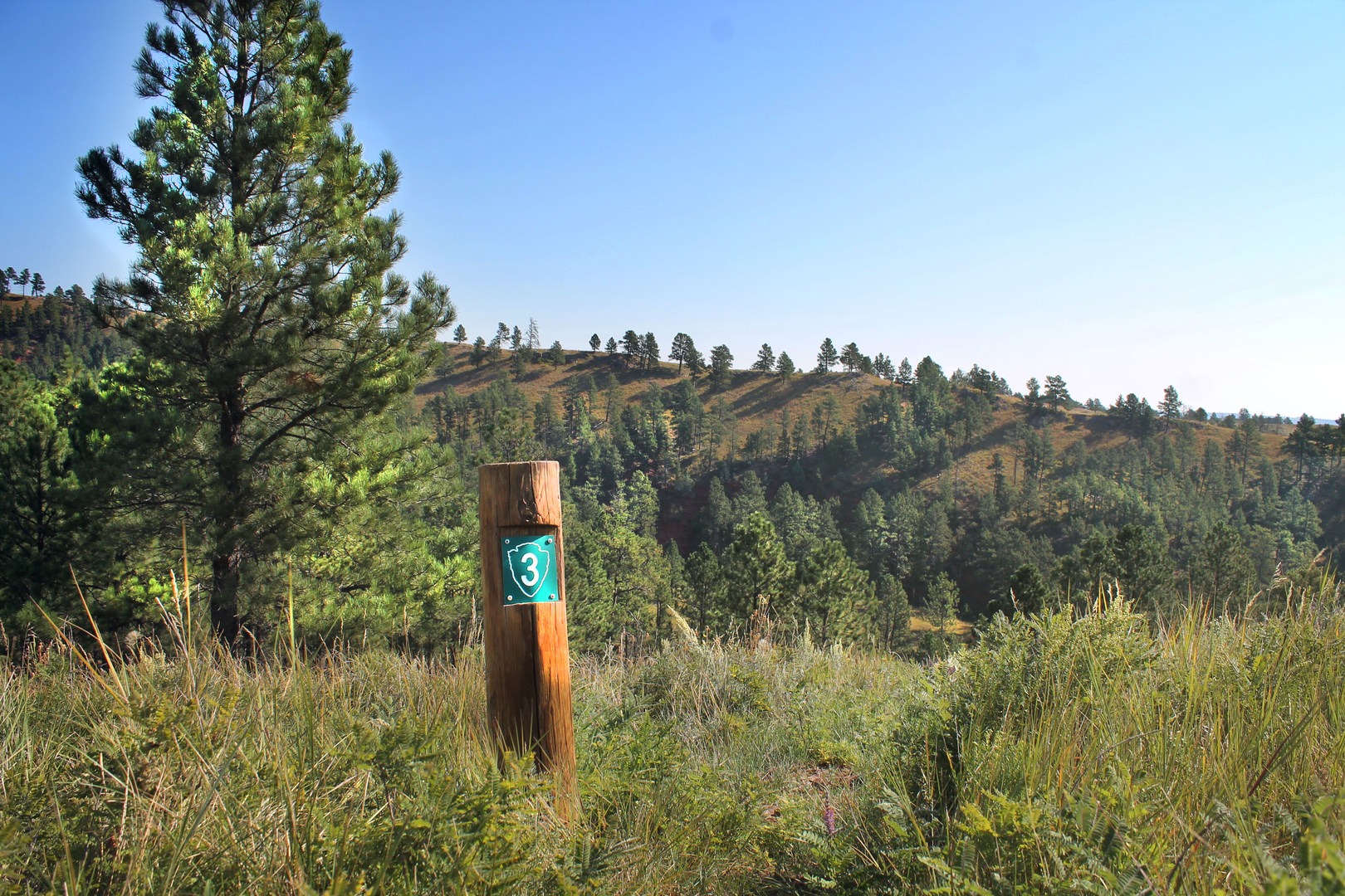 The East Bison Flats Trail marker.