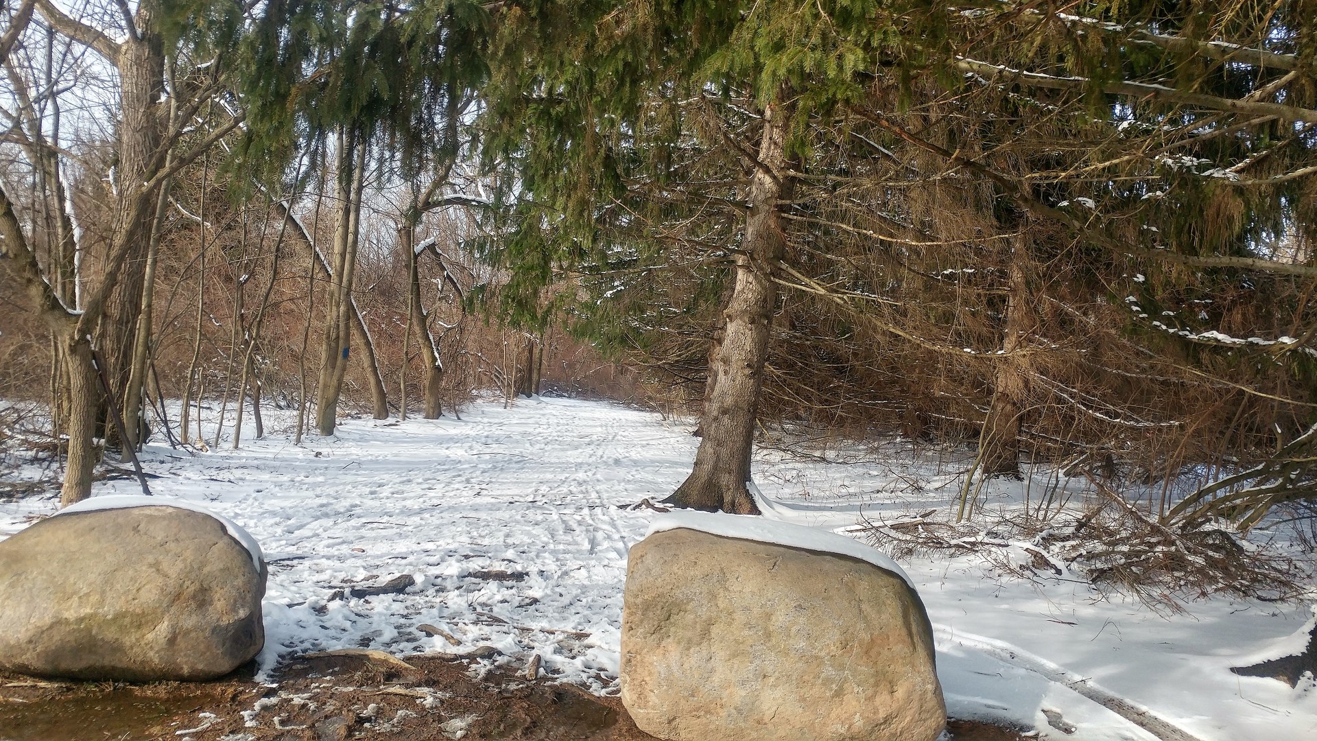 The trailhead on north side of parking lot.
