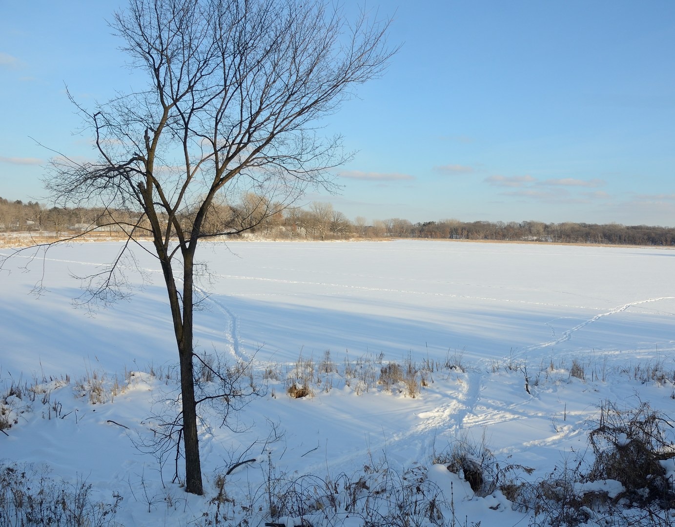 The view of Grass Lake.