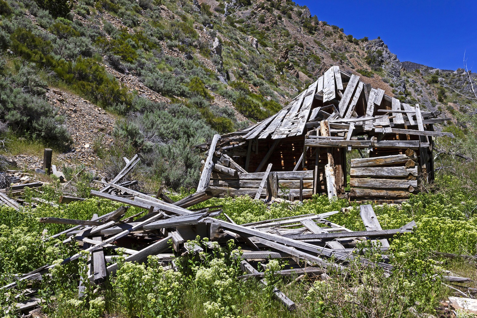 An unrestored cabin on the way up the canyon.