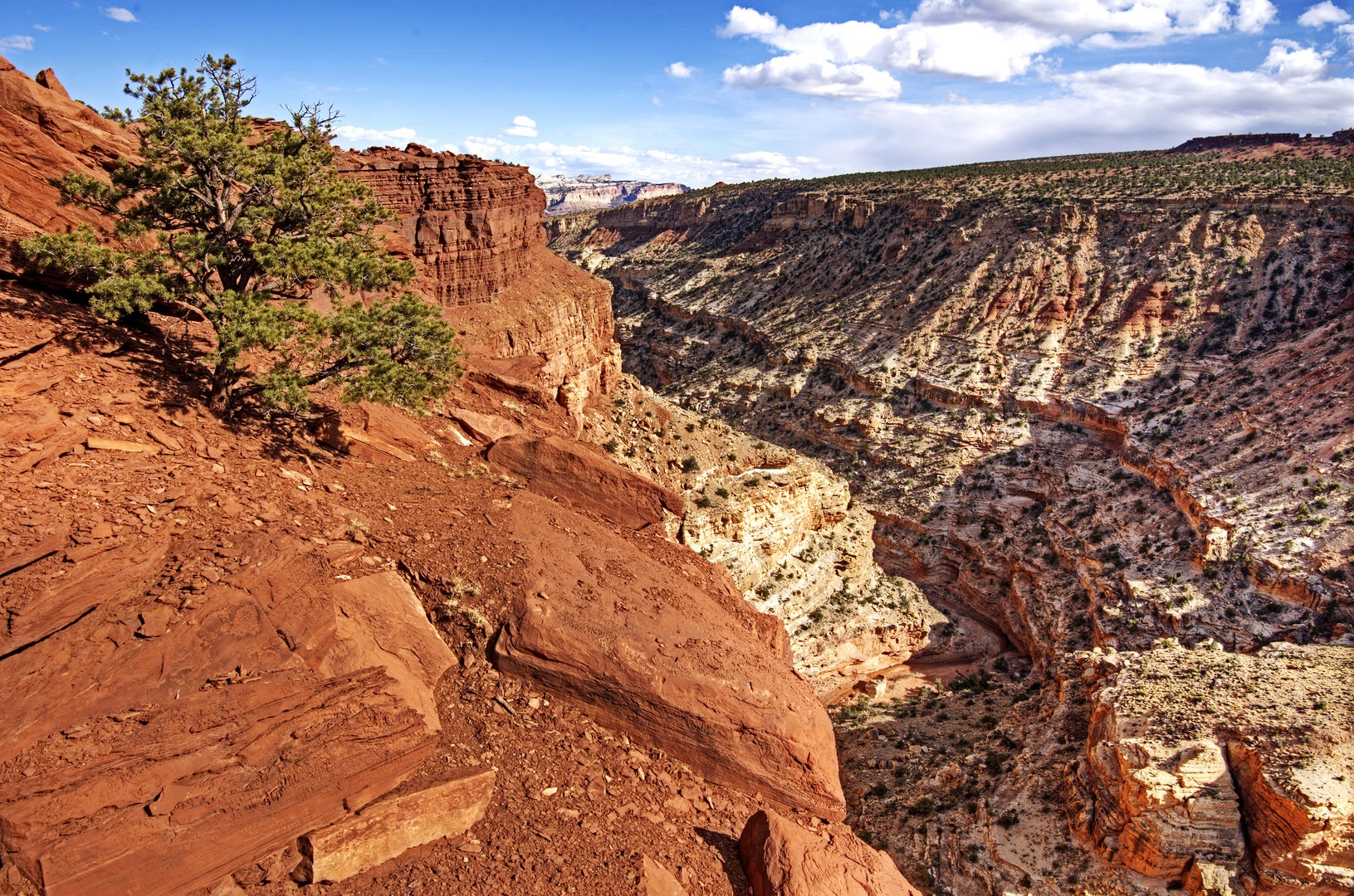 Stunning canyon views from Goosenecks Overlook.