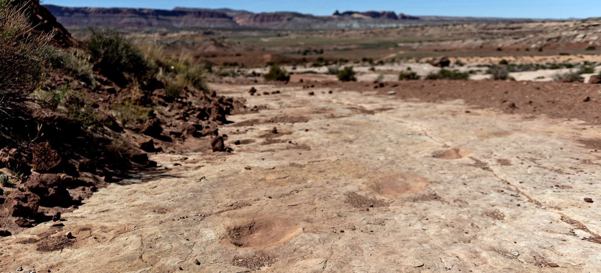 Dinosaur tracks at Willow Springs Road.