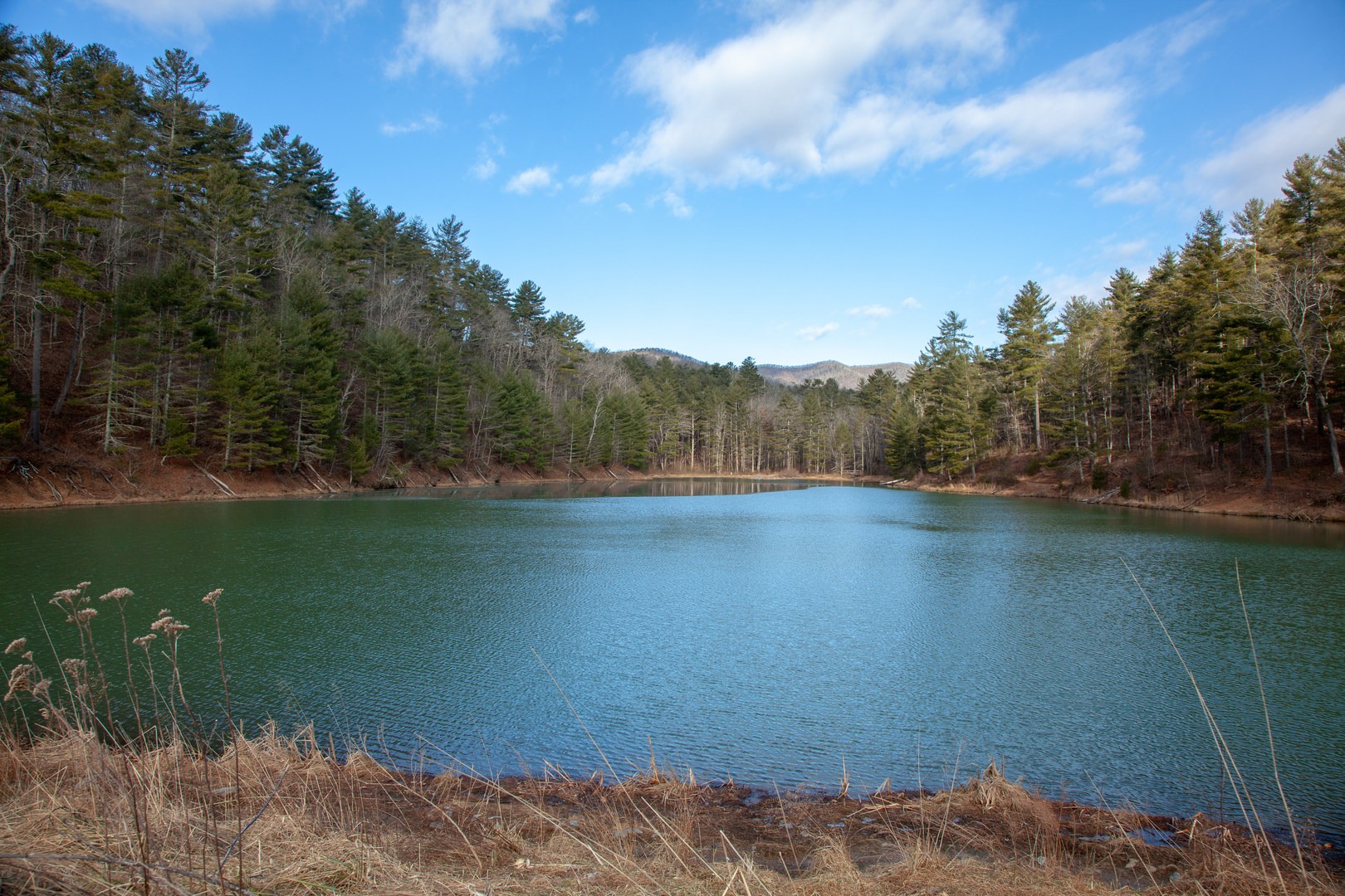 Braley Pond from the small earthen dam.