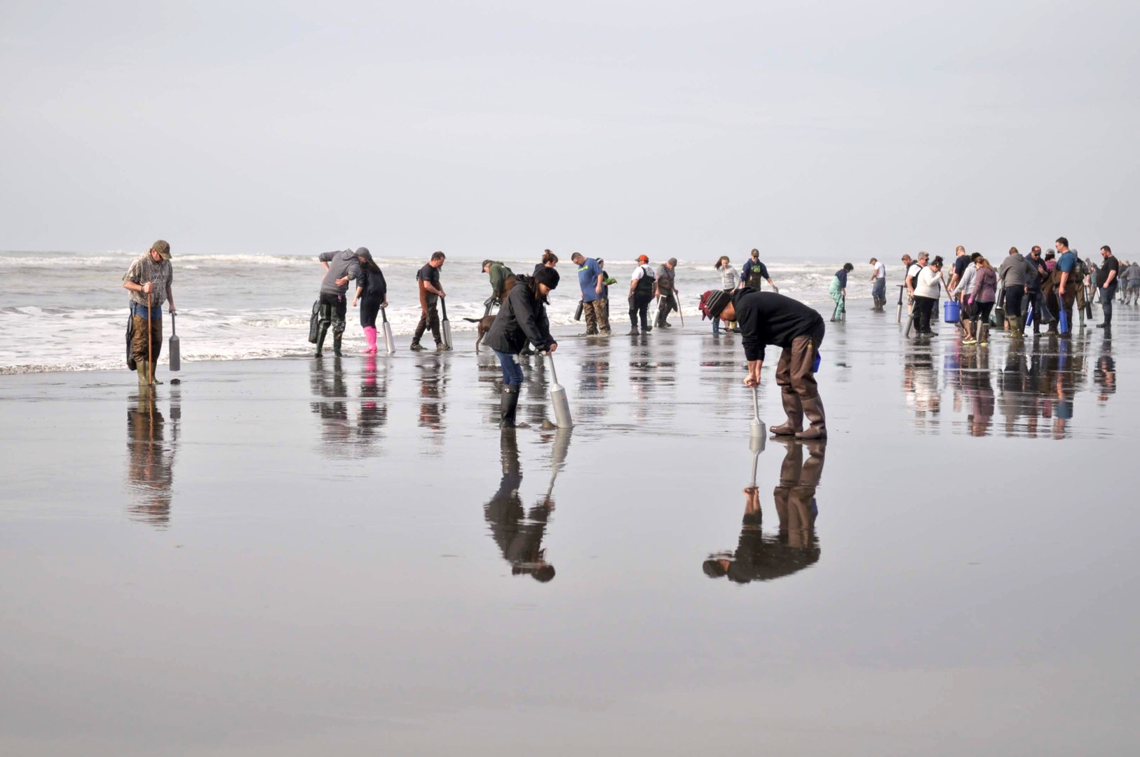 Digging for razor clams behind Oceana.