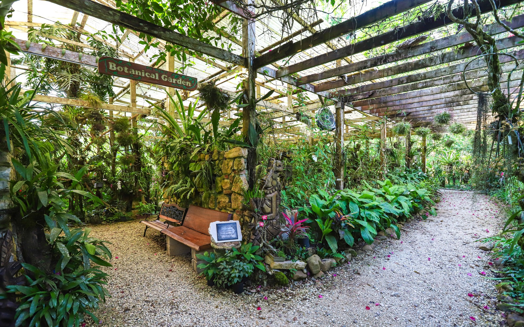 The Botanical Gardens at Cave Branch Lodge are open to all visitors, and they are set along a series a landscaped paths throughout the lodge grounds.