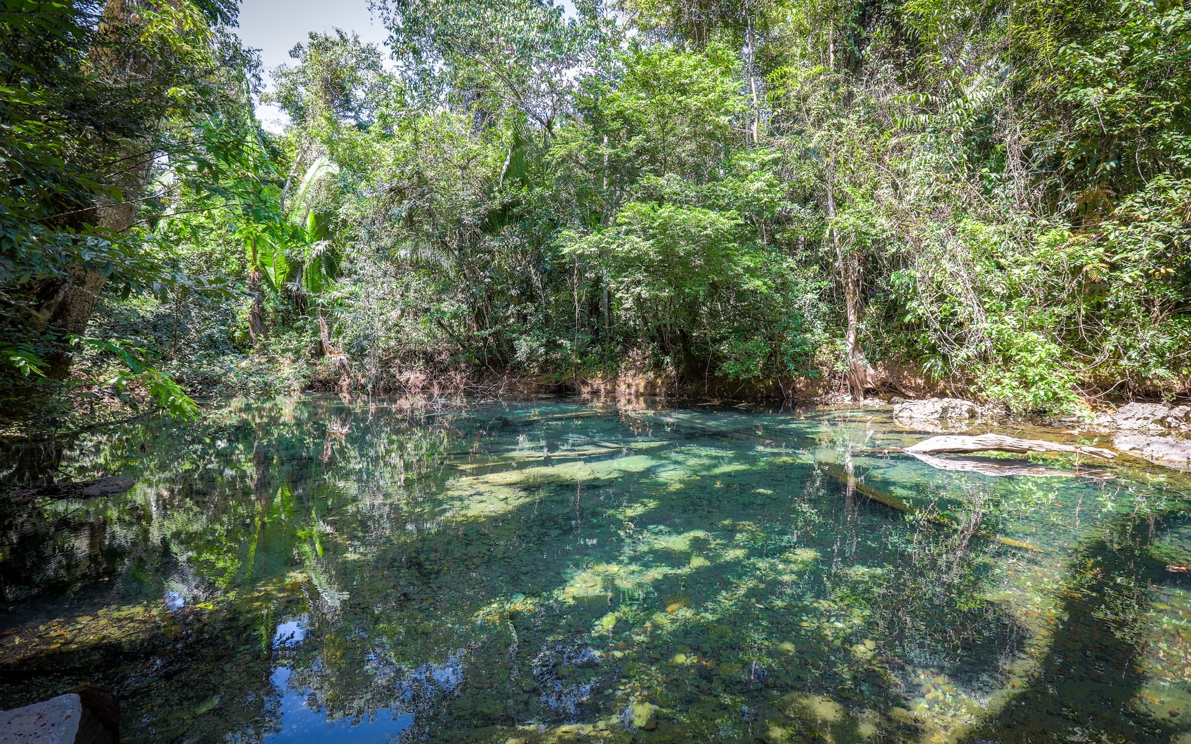 Golden Stream swimming hole.