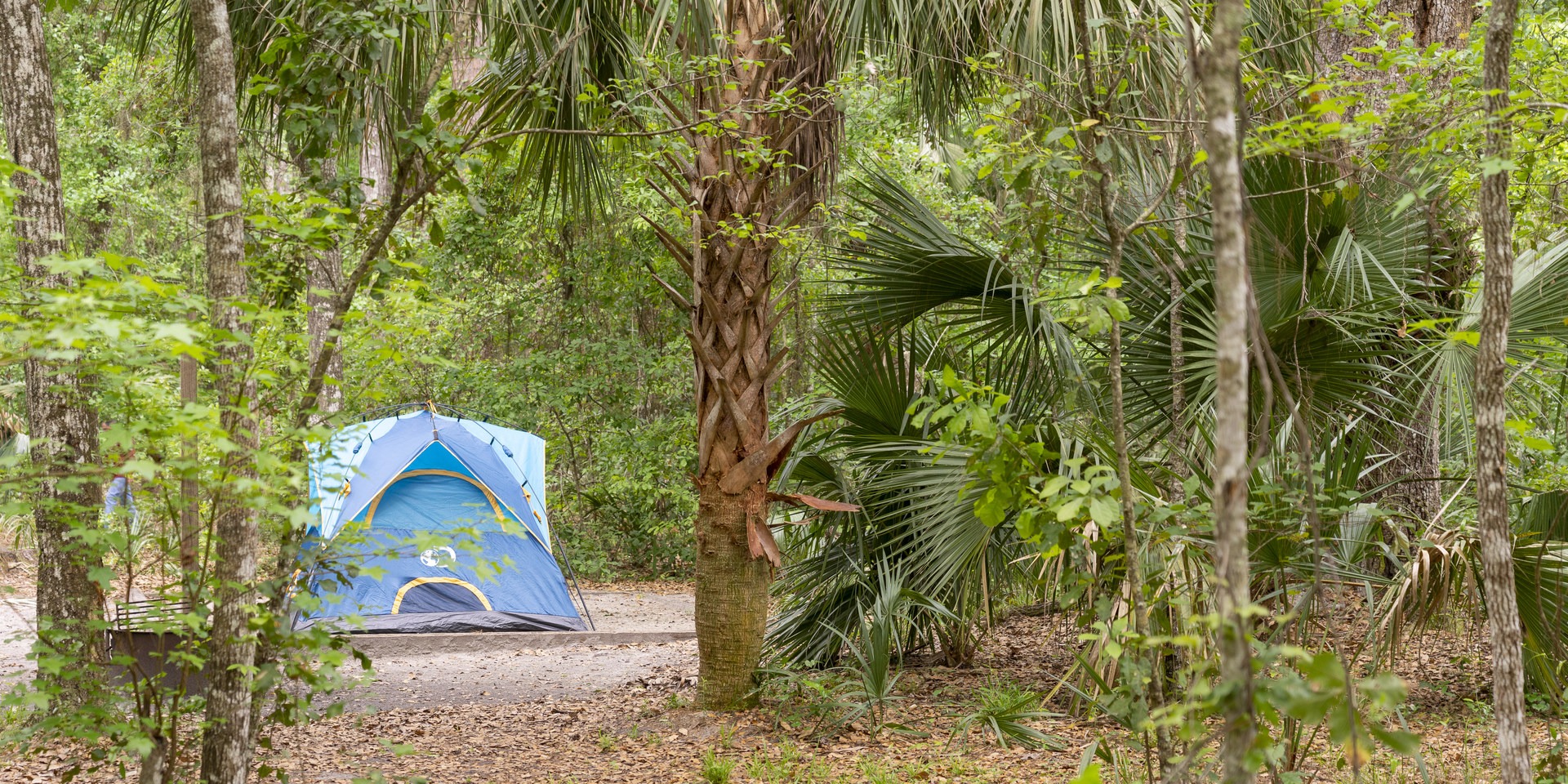 Puc Puggy tent site.