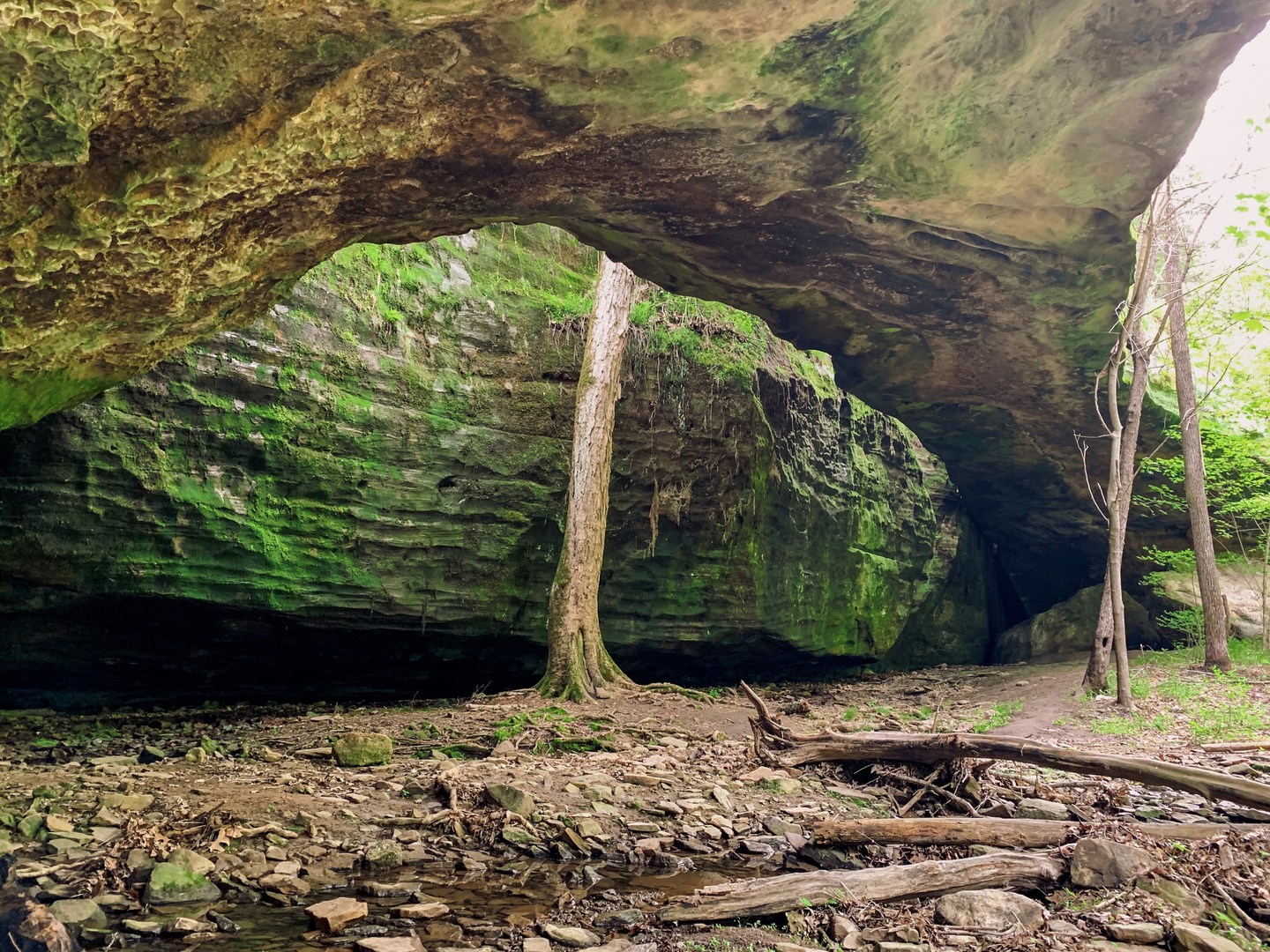Under Mantle Rock in Mantle Rock Nature Preserve.