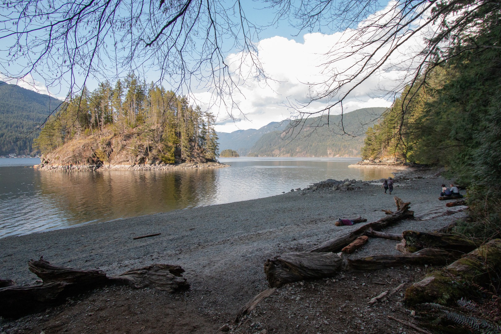 Cosy Cove beach is a fairly quiet spot.