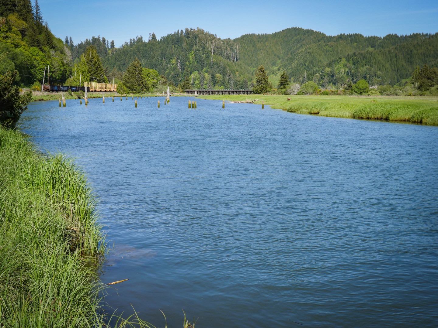 One of the sloughs on the Smith River.