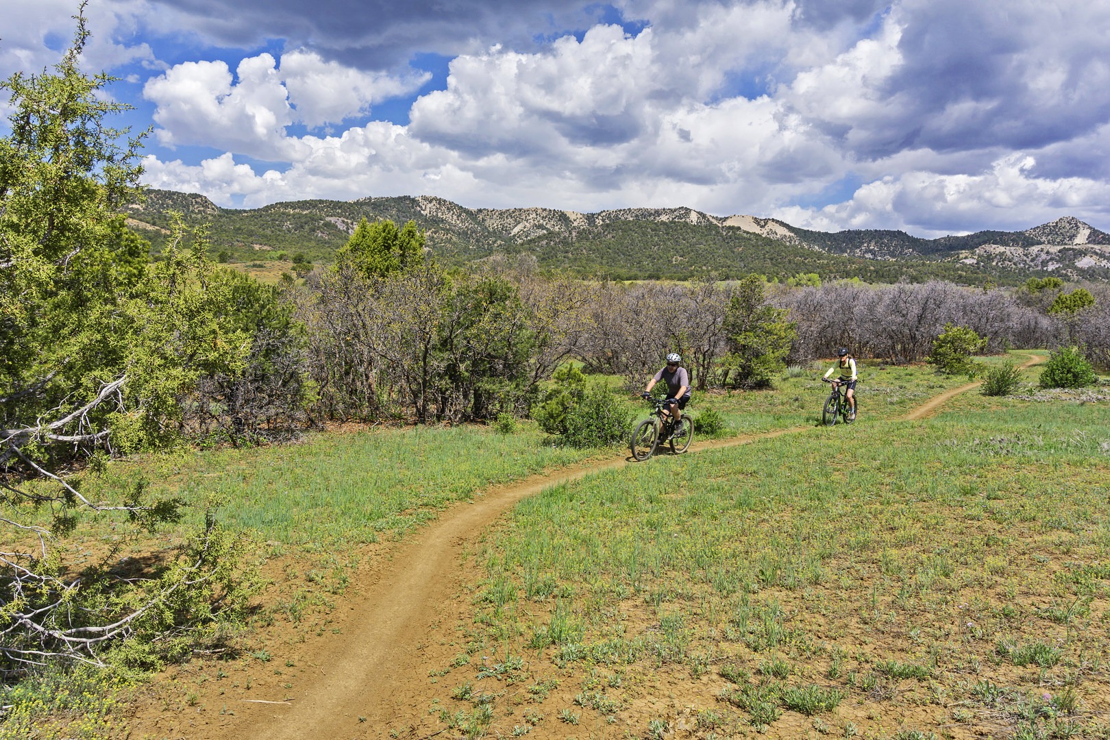 Fun for everyone on the Spur Line Trails!