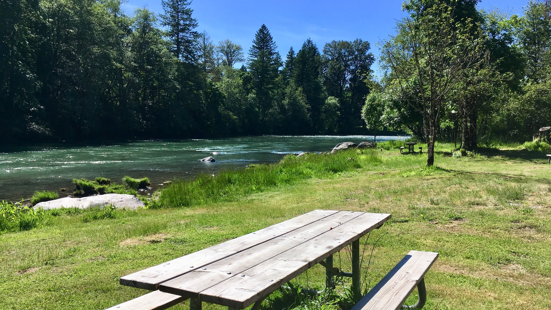 An excellent spot at North Santiam Campground to have lunch.