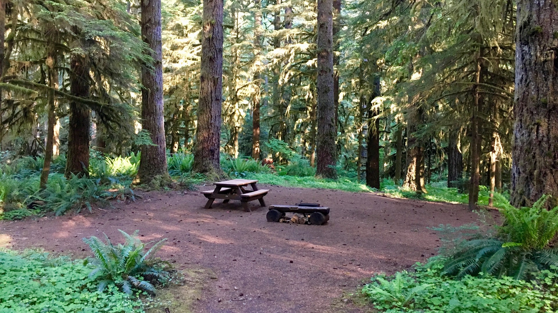 A typical hike-in site at Shellburg Falls Campground.