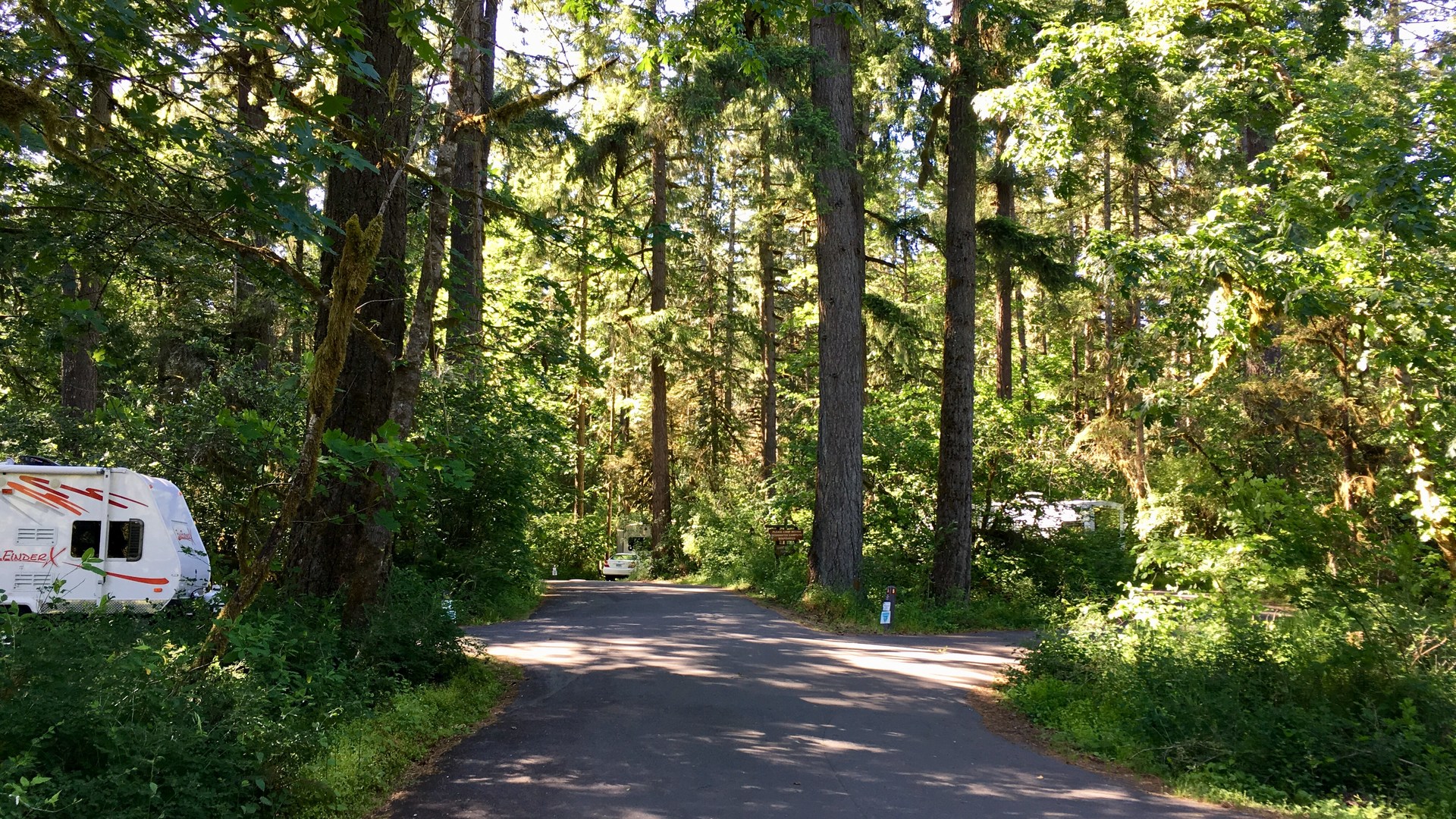 The main "Camp Loop" at Fishermen's Bend.