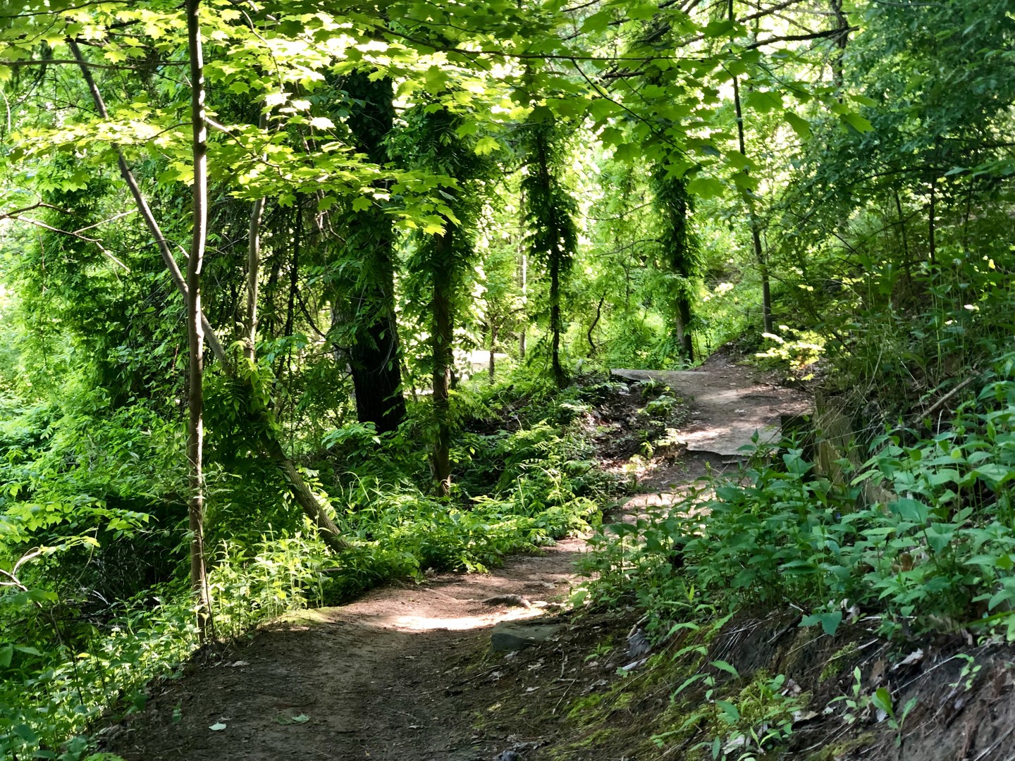 Trails are rarely flat, filled with gentle rollers.