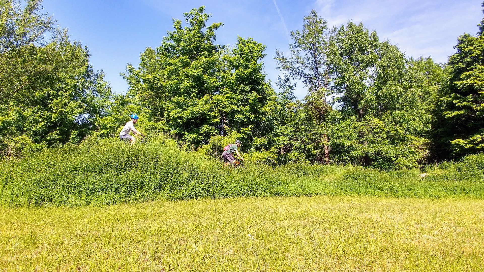 Dragon's Back rollers.