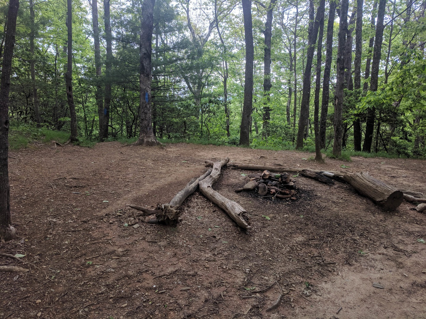 Campsite with a side trail that leads to a private campground—NOT Jack's Knob Trail!