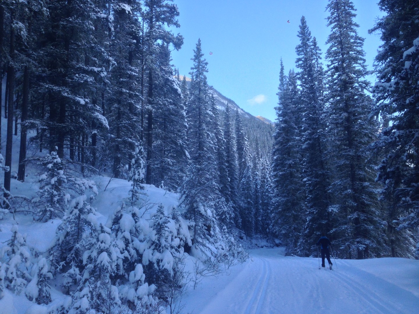 The trail gets a little less undulating as you approach Banff.
