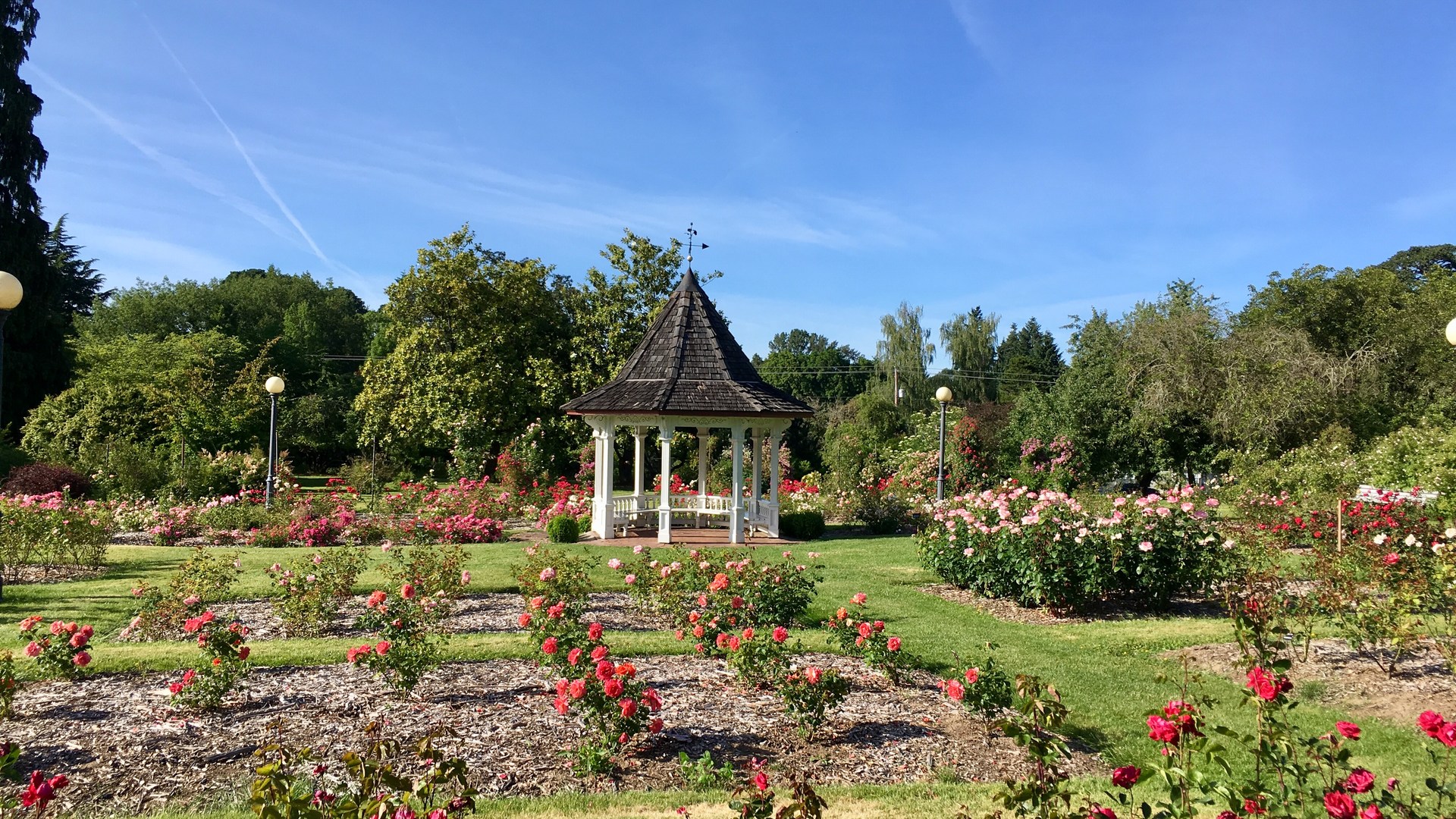 The rose garden is a beautiful place.