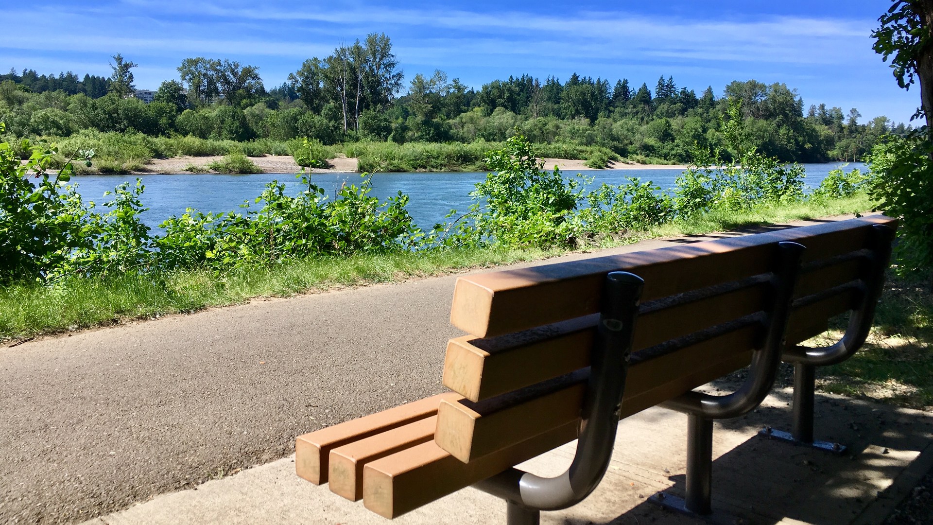 A lovely park bench overlooking the Willamette River at Minto-Brown Island Park.
