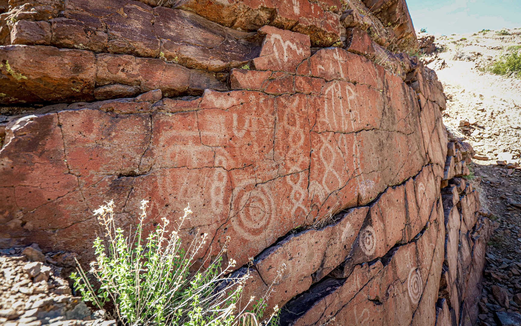 Griffith Canyon petroglyphs.