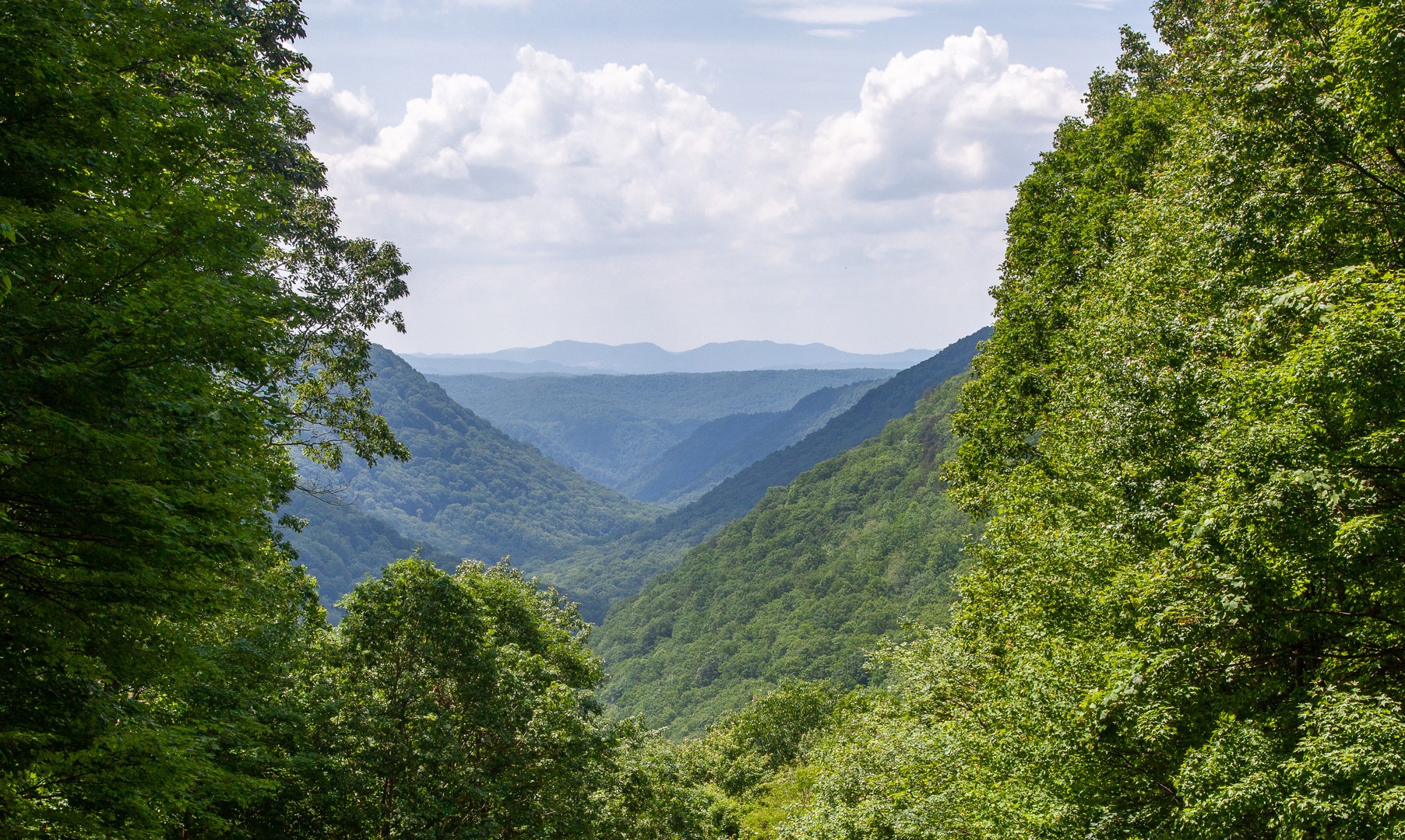 View of Glade Creek Gorge down to the New River.