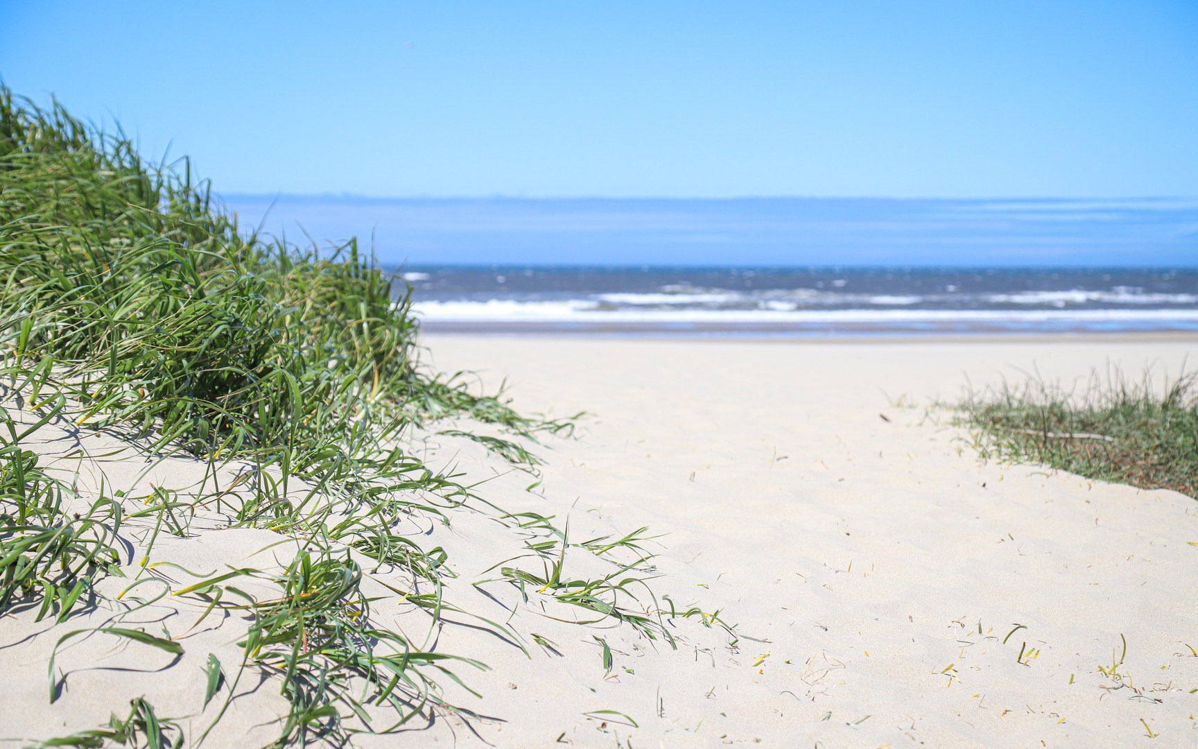 Soft sand along Heceta Beach.