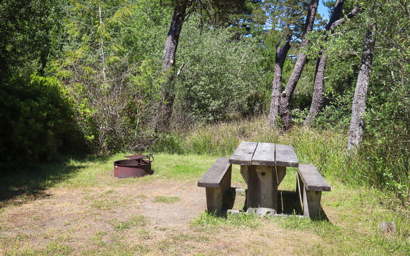 A typical site inside Bluebill Campground.