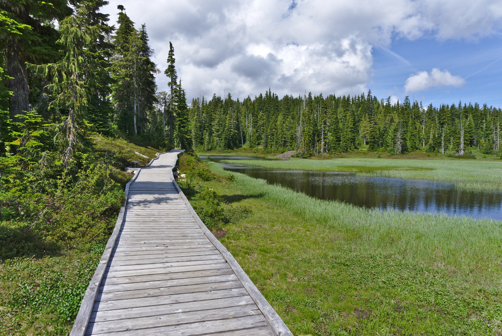 Paradise Meadows via Centennial Loop.