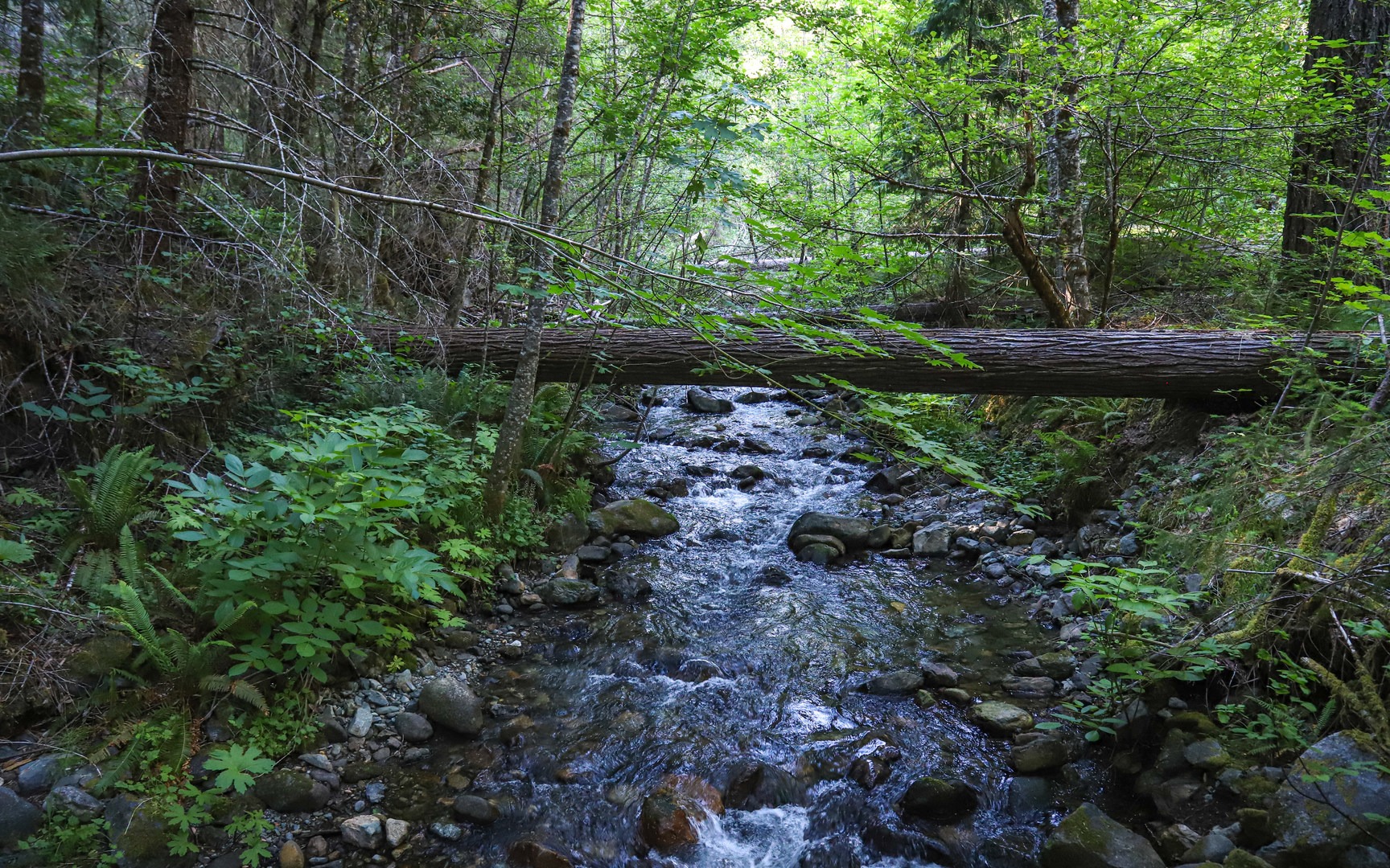 Cave Creek Campground Outdoor Project