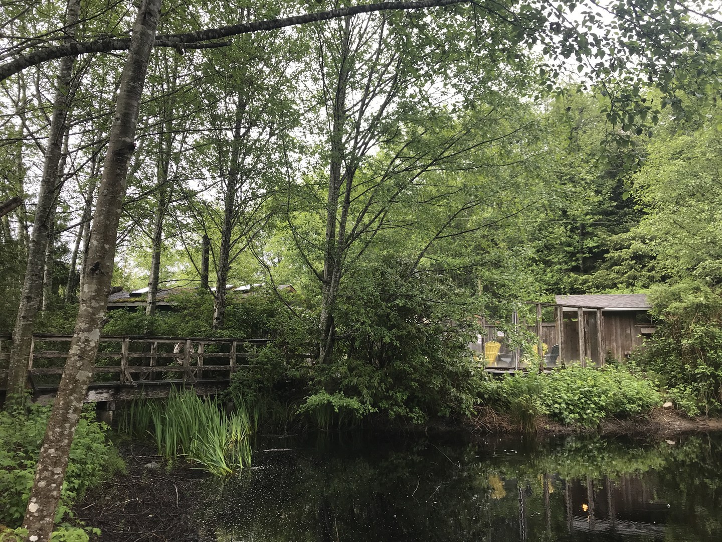 The hot tub as seen from the pond.