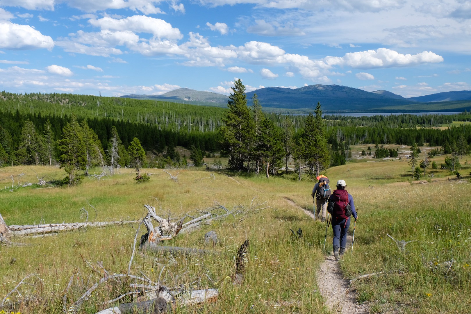 Your classic Yellowstone backpacking trip: Heart Lake.