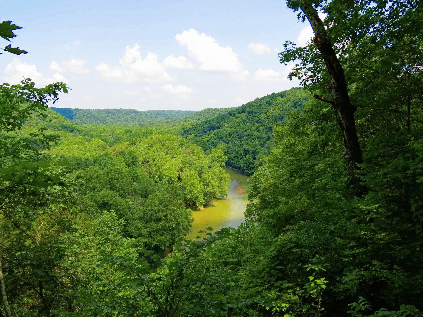 A view of the Green River from atop the bluffs.