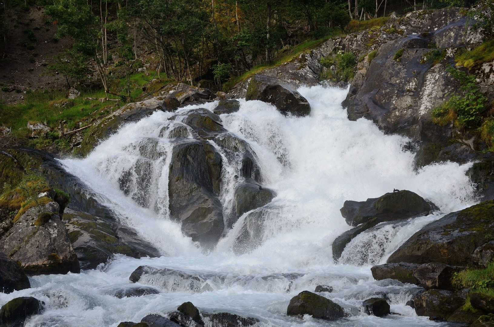 Cascading stream along the trail.