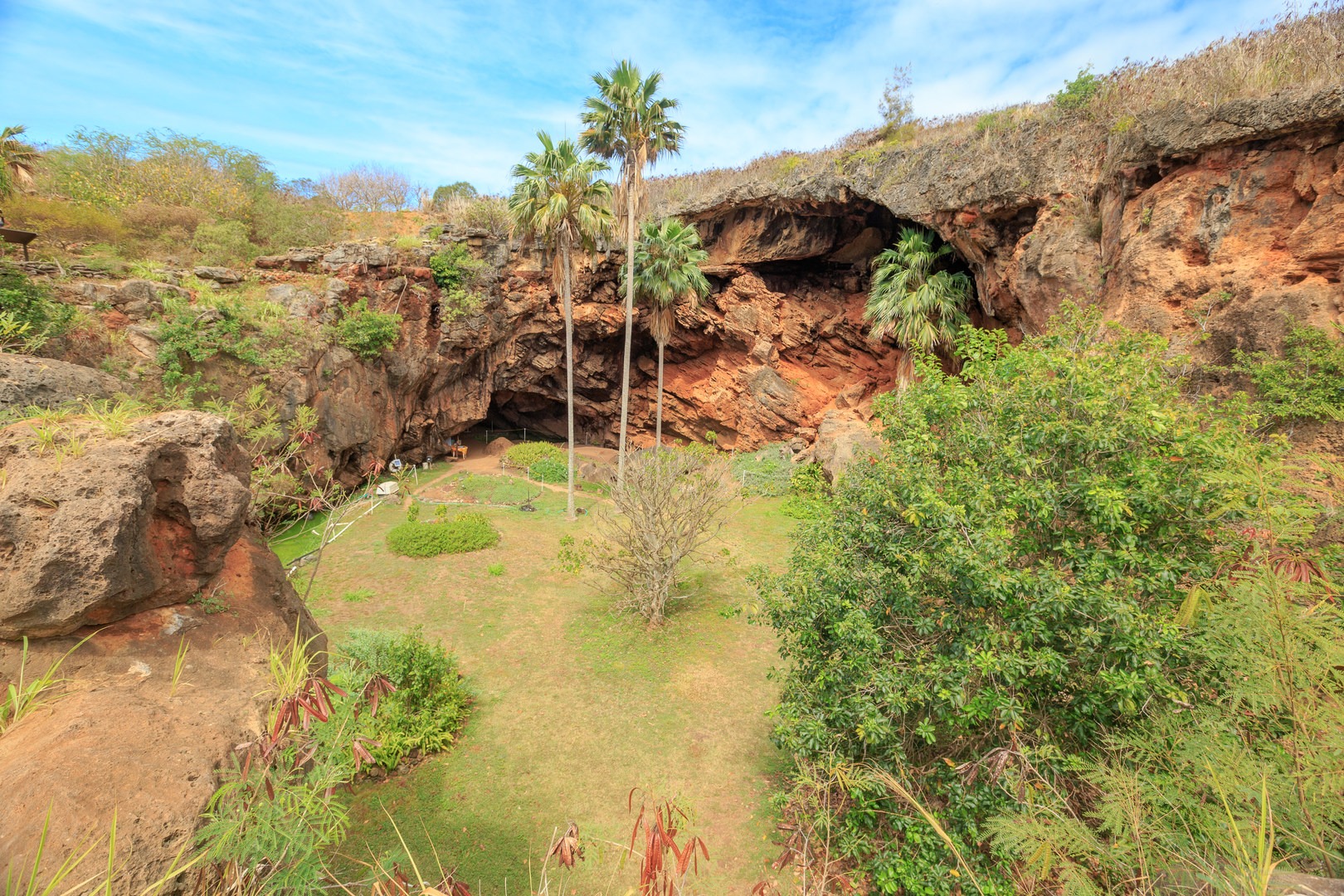 The interior of the cave (ancient sinkhole) was restored with native plants.