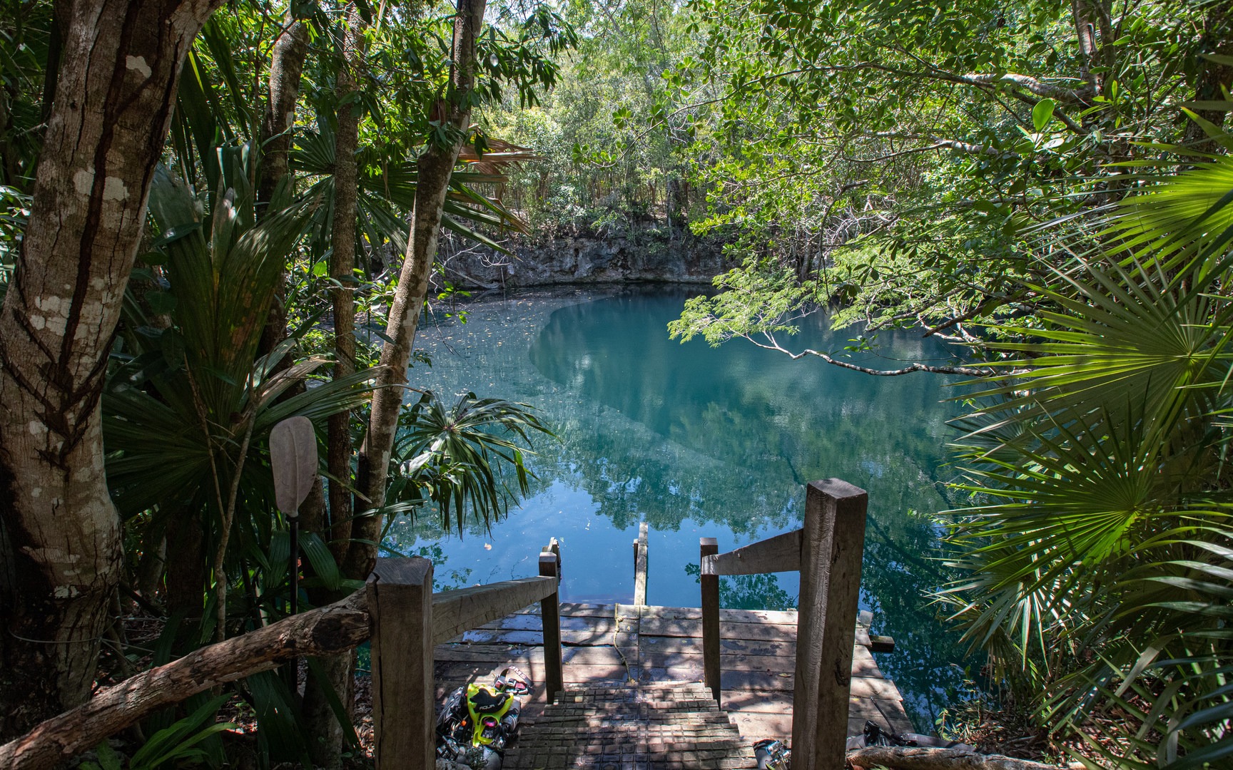 The cenote is in a limestone depression just below surface level surrounded the wild elements.