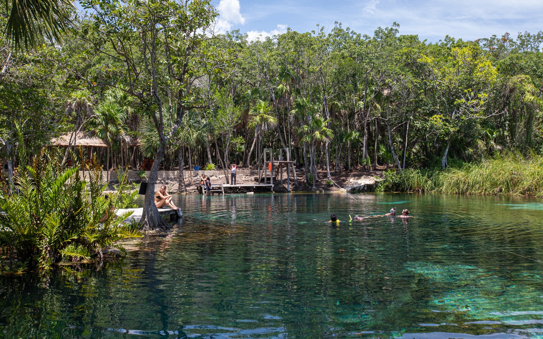 The cenote is set within coastal jungle surroundings.