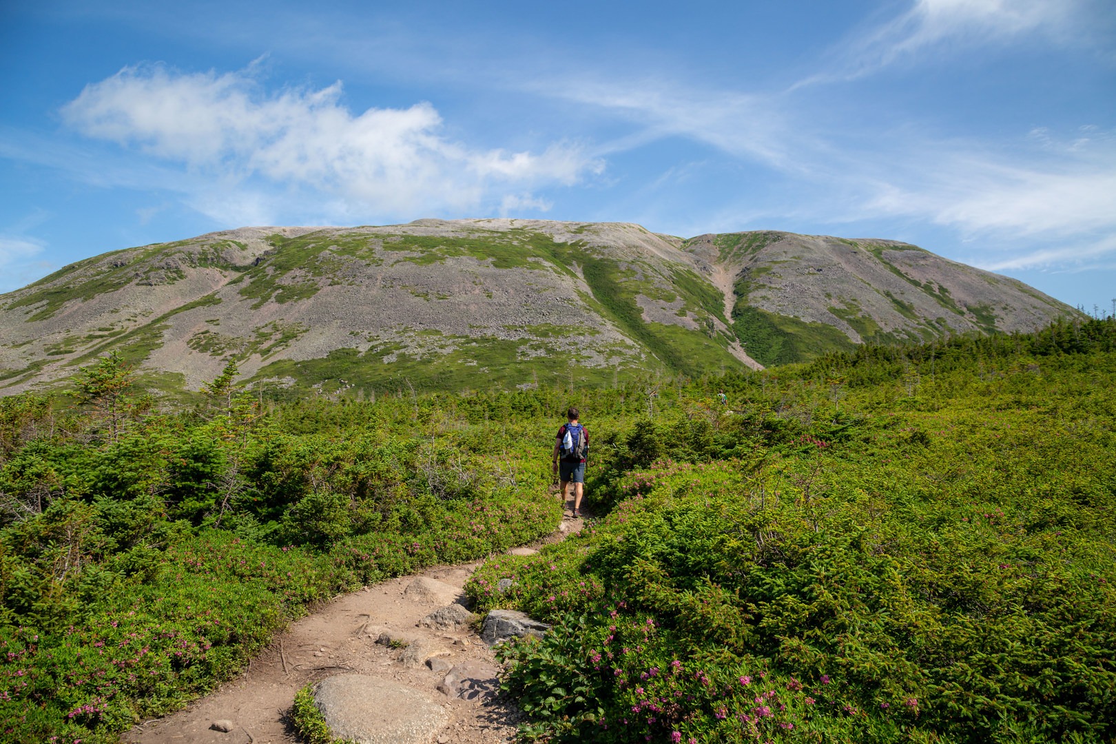 Gros Morne stands tall in front of you for the first several miles of the trail.