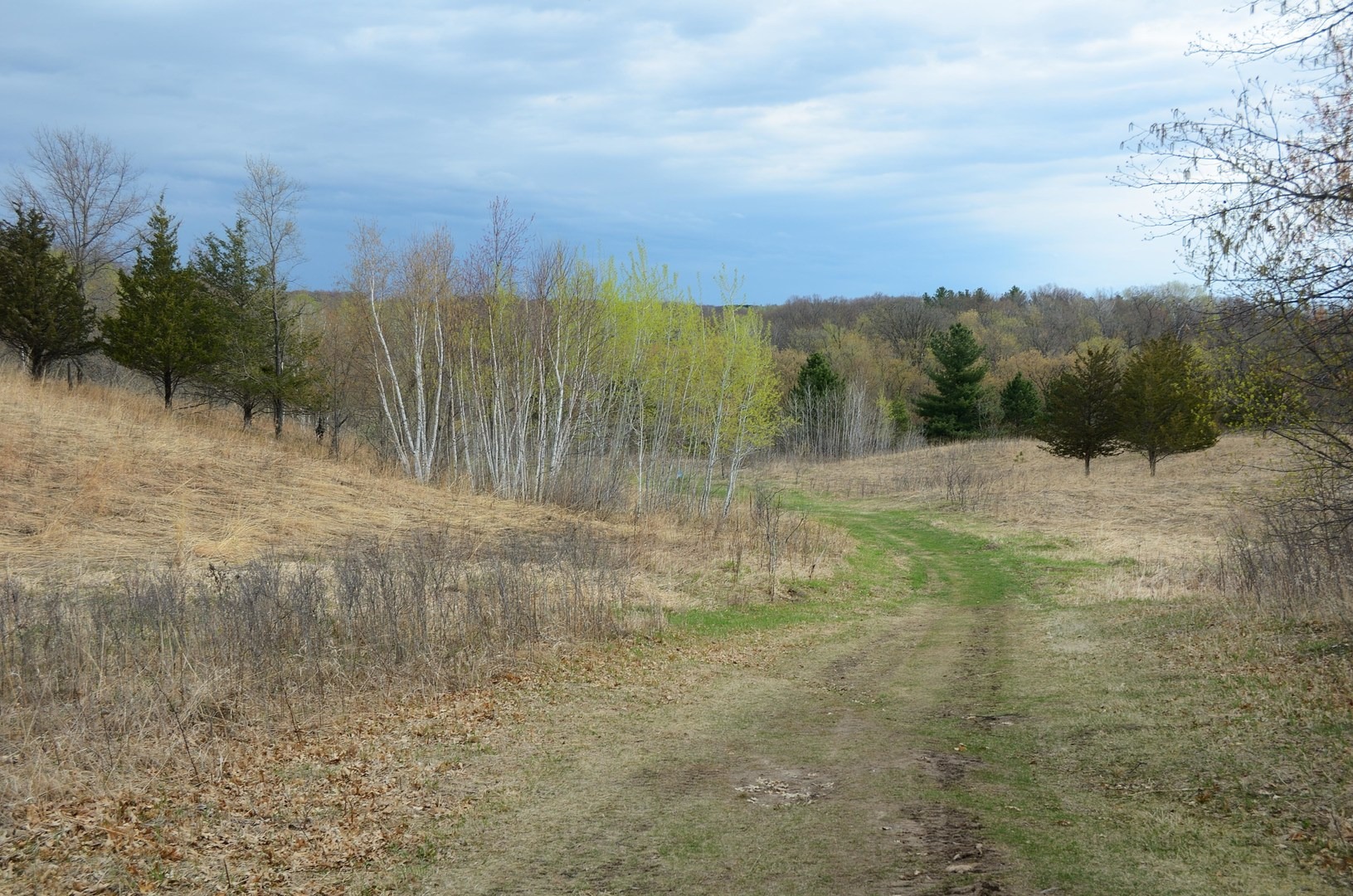 Trail at William O'Brien State Park.
