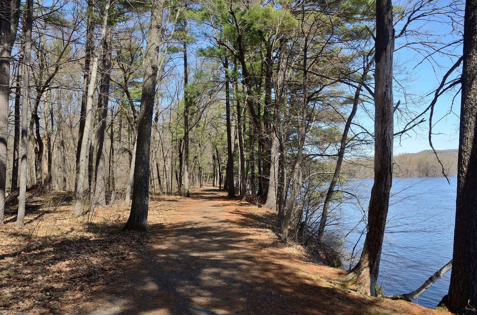 Trail along the Saint Croix River.
