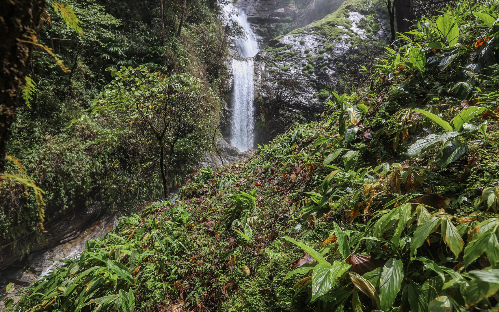 Mae Pan Waterfall in the jungle environment.