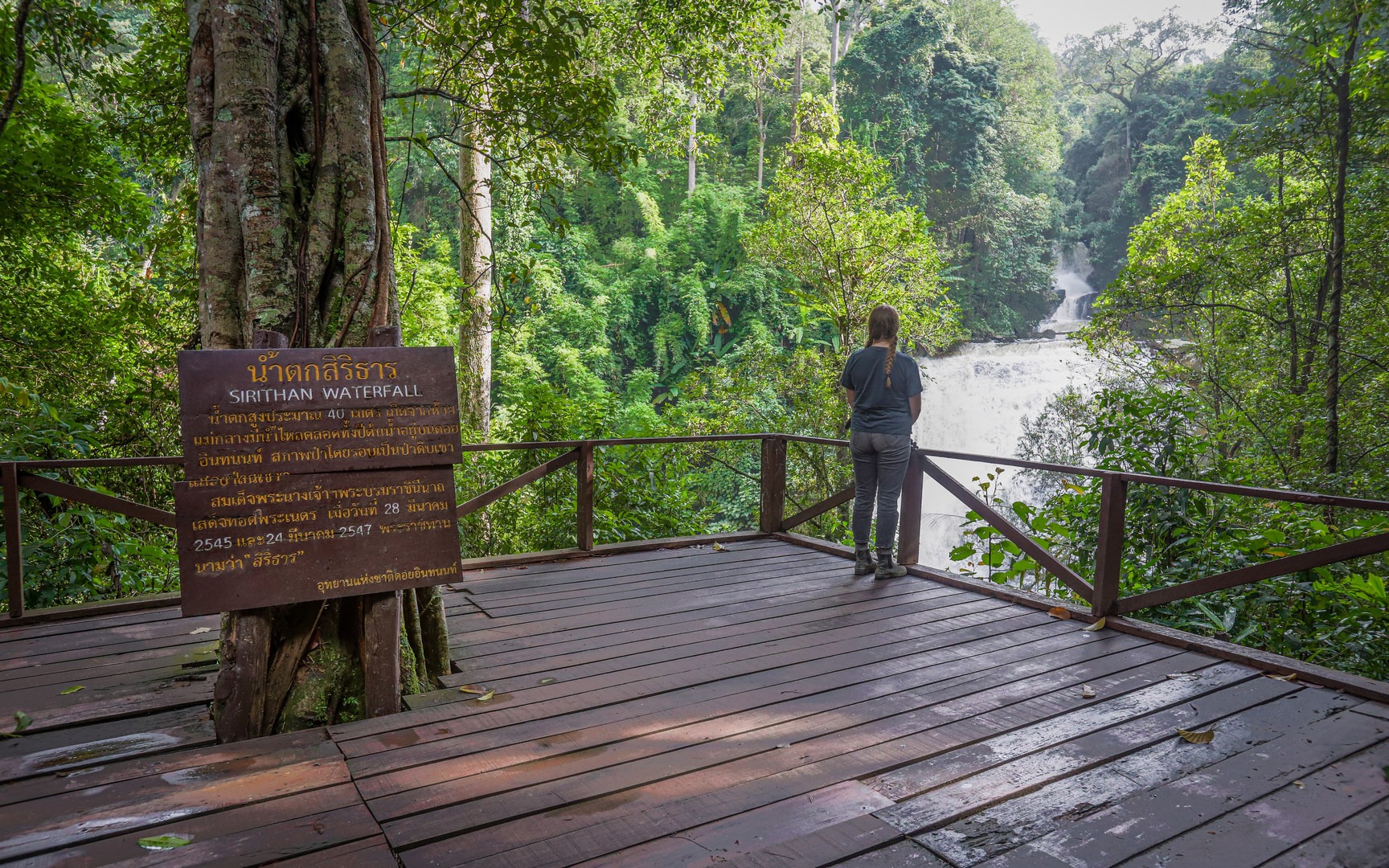 The platform remains at a short distance, allowing visitors to observe the falls through the jungle forest.