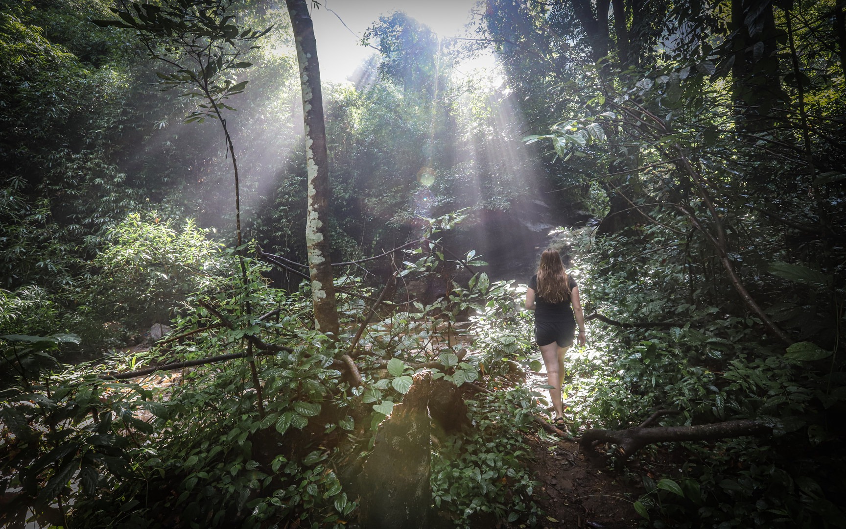 The hike into a waterfall near the Monk's Trail, which runs from the base of the National Park at the western edge of Chiang Mai up to Wat Phra That Doi Suthep at the park's peak.