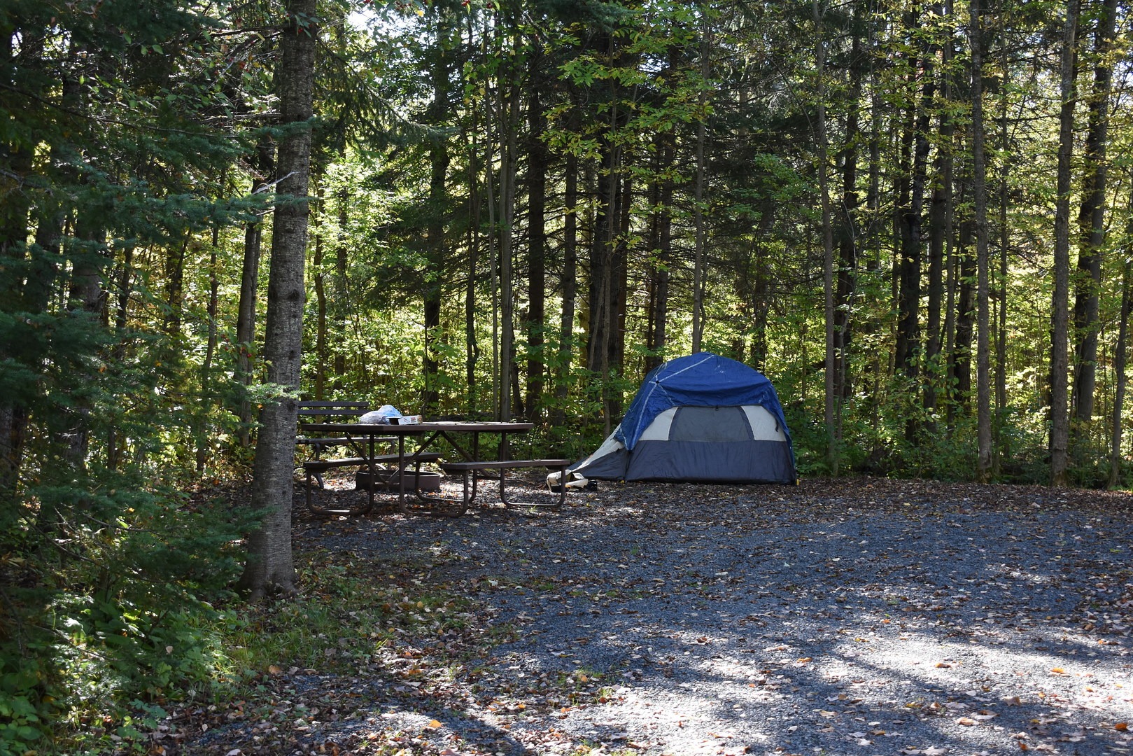 Campsite at Amnicon Falls State Park Campground.