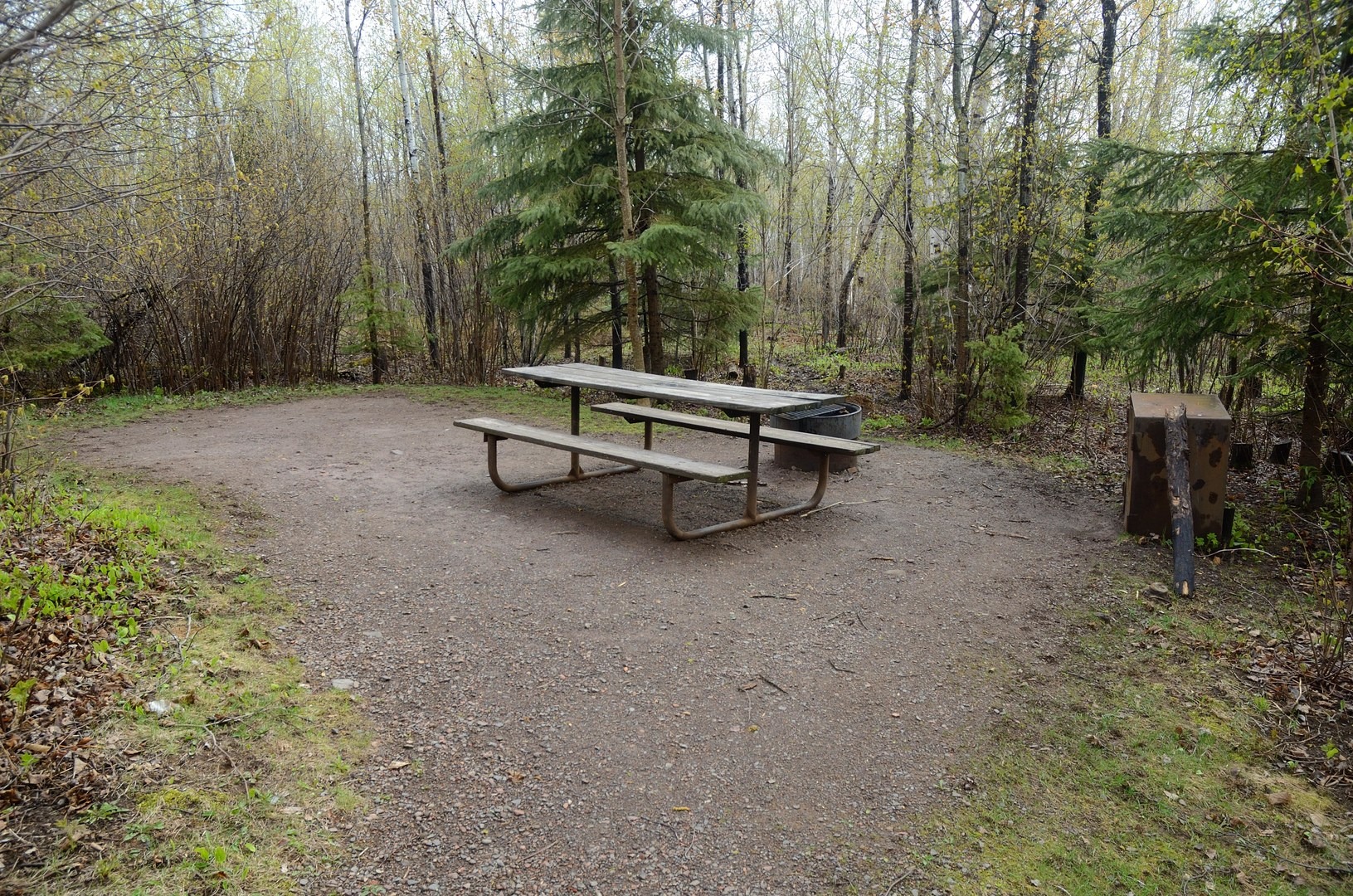 Wlak-in tent site 6 at Baptism River Campground.