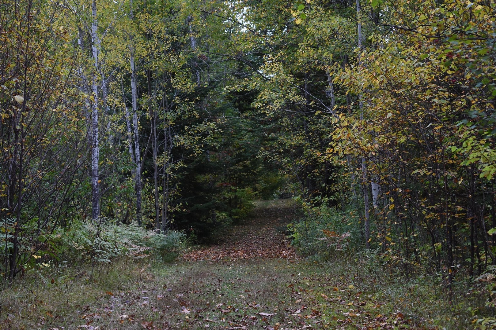 Rolling Hills Trail.