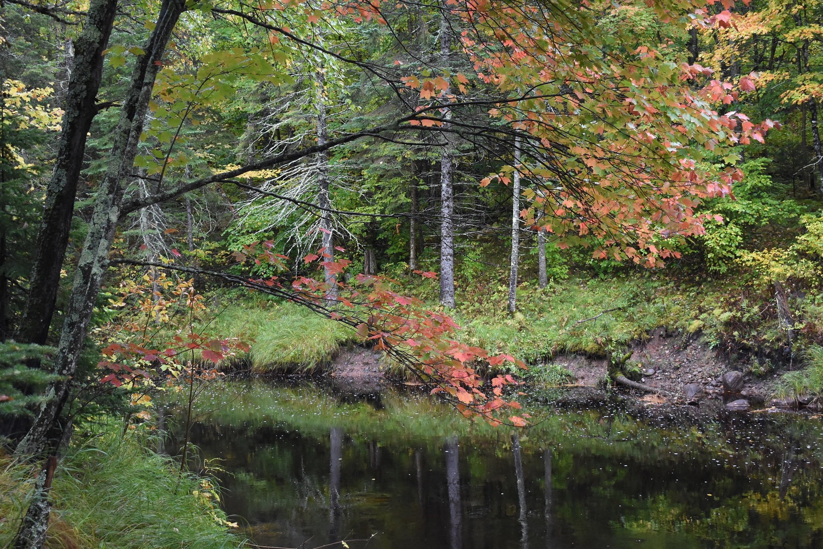 Black River near a Pattison State Park backpack campsite.